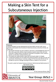 l skills instruction booklet cover page Making a Skin Tent for a Subcutaneous Injection